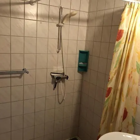 بيت خشبي Vibereden